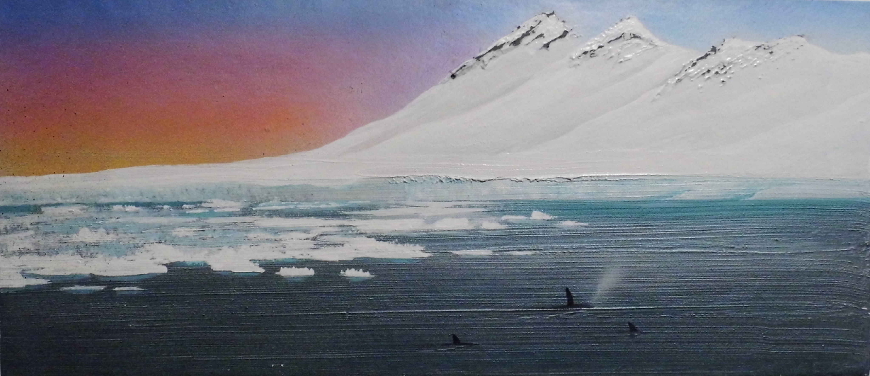 Antarctic Orcas